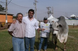 Exposidrolândia 2012 premia animais do time de pista do plantel do Nelore York